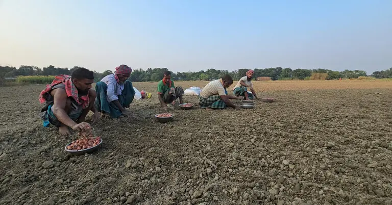 নতুন মৌসুমের আবাদ নিয়ে ব্যস্ত সময় পার করছেন কৃষকরা